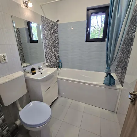 Rya Home Daire Bükreş